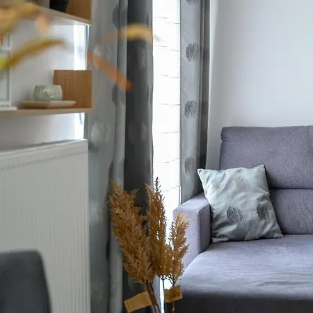 Rent-apart Center Narutowicza 公寓 *